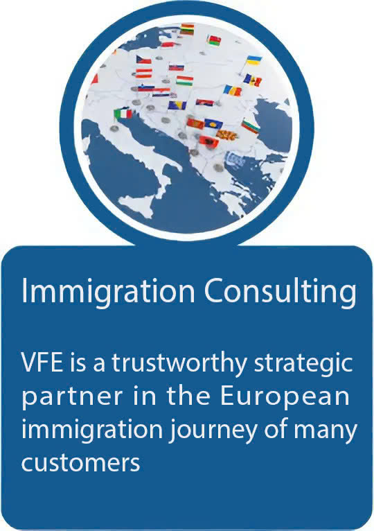 Immigration Consulting