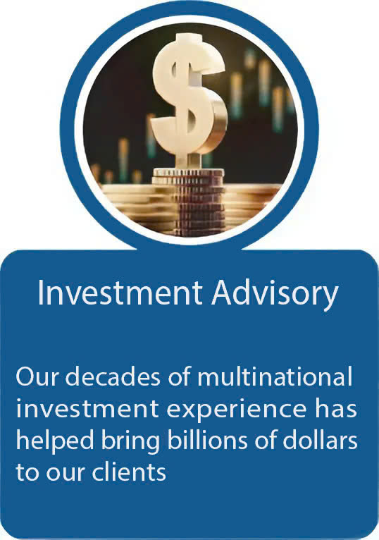 Investment Advisory